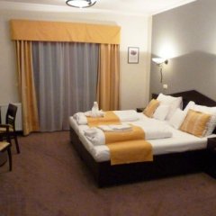Wellness Hotel Studánka, Rychnov nad Kněžnou, Orlické hory - pokoj U Rybáře - pokoj sv. Martin