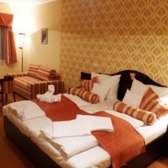 Wellness Hotel Studánka, Rychnov nad Kněžnou, Orlické hory - pokoj U Rybáře - pokoj U Panenky Marie