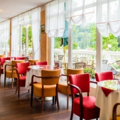 Hotel Royal - Mariánské Lázně, kavárna