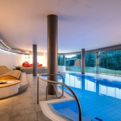 Hotel Ostrov, České Švýcarsko - bazén